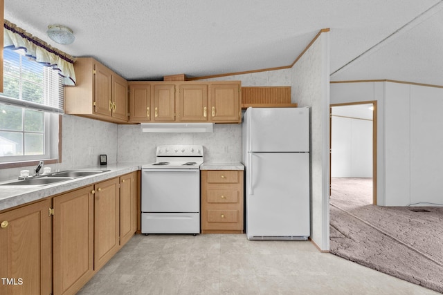 4870 Dogwood Dr, Battleboro, NC 27809 - kitchen with white appliances, a sink, under cabinet range hood, lofted ceiling, and a textured ceiling