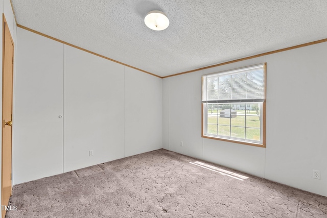 4870 Dogwood Dr, Battleboro, NC 27809 - carpeted spare room with crown molding and a textured ceiling