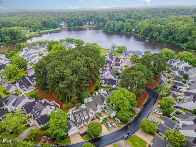 aerial view of residential area with a large body of water and a forest
