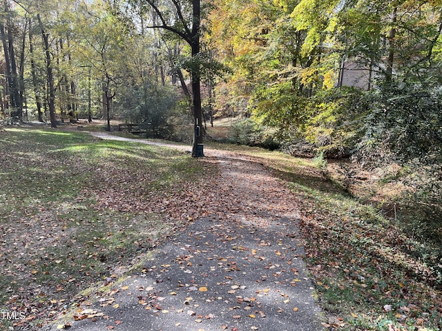 view of yard featuring a forest view