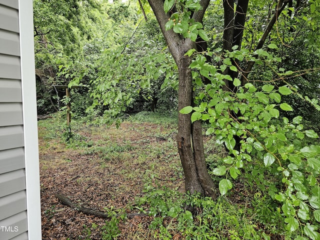 109 Raynor St, Goldsboro, NC 27530 - view of yard