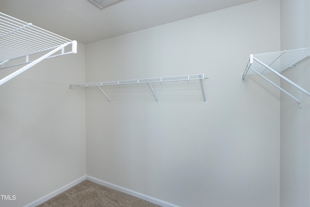 walk in closet featuring carpet