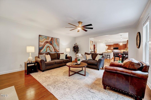 living area featuring a ceiling fan, light wood-type flooring, baseboards, and ornamental molding
