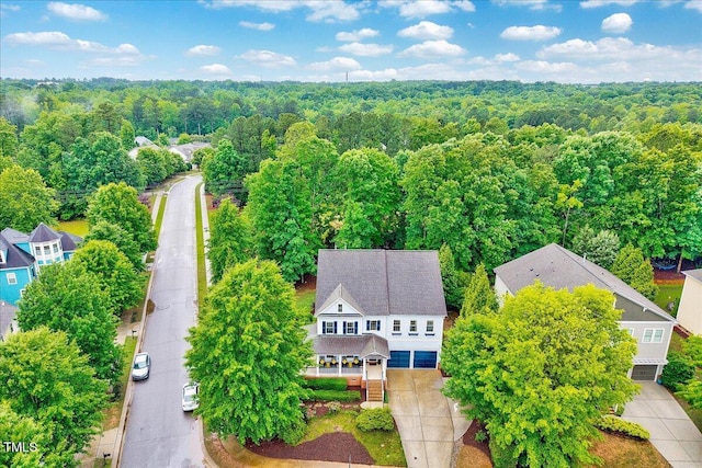 bird's eye view of a forest