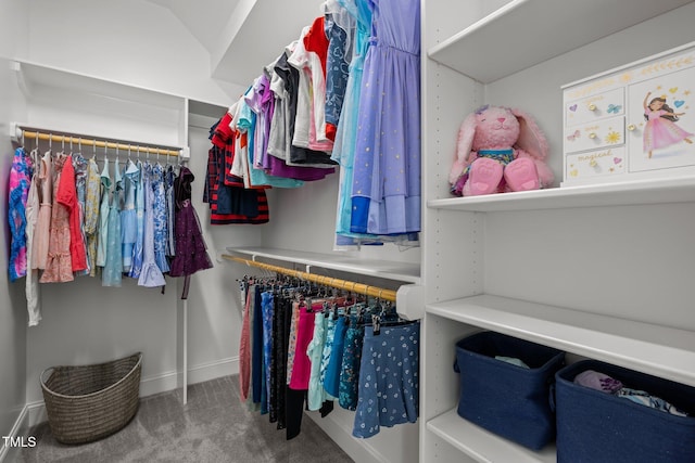 192 Logbridge Rd, Chapel Hill, NC 27516 - walk in closet with carpet floors