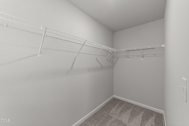 19 Willow Green Dr, Clayton, NC 27527 - spacious closet featuring carpet