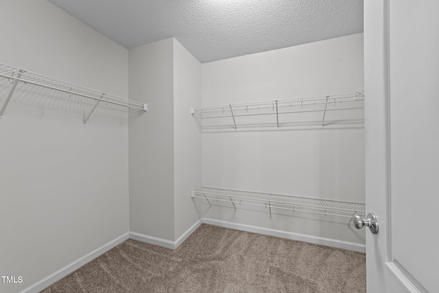 3705 Rivermist Dr, Raleigh, NC 27610 - spacious closet with carpet flooring
