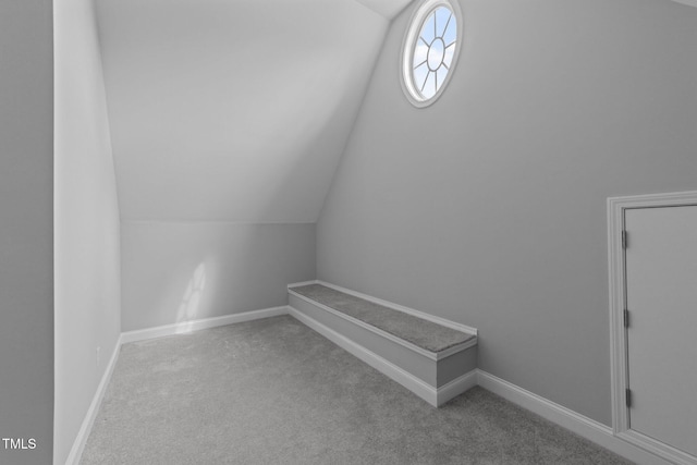 additional living space with carpet floors, lofted ceiling, and baseboards