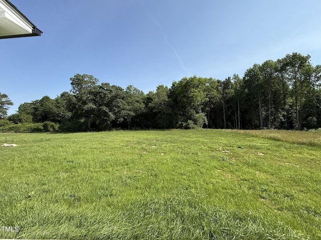 179 Coharie Dr, Lillington, NC 27546 - photo 16