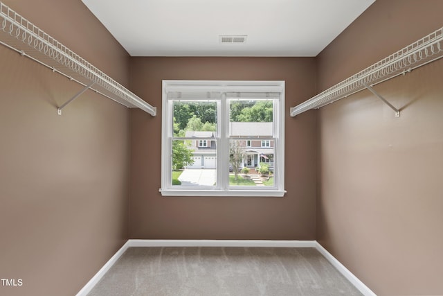 spacious closet featuring carpet