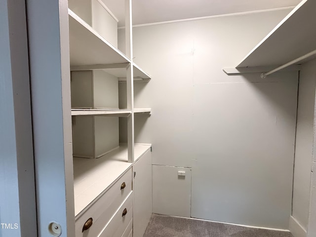 208 Glenn St, Franklinton, NC 27525 - walk in closet featuring carpet flooring
