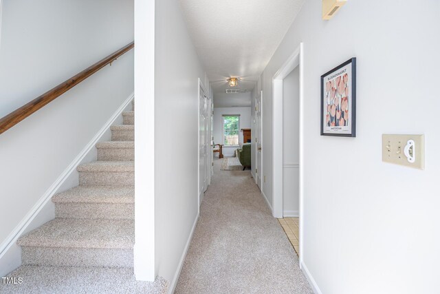 121 Long Shadow Pl, Durham, NC 27713 - photo 7