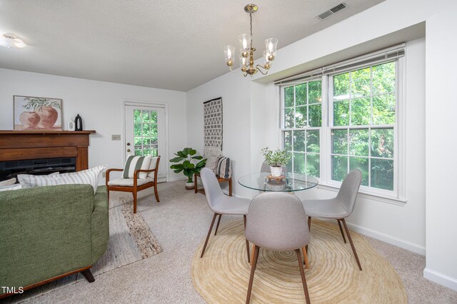 121 Long Shadow Pl, Durham, NC 27713 - photo 5