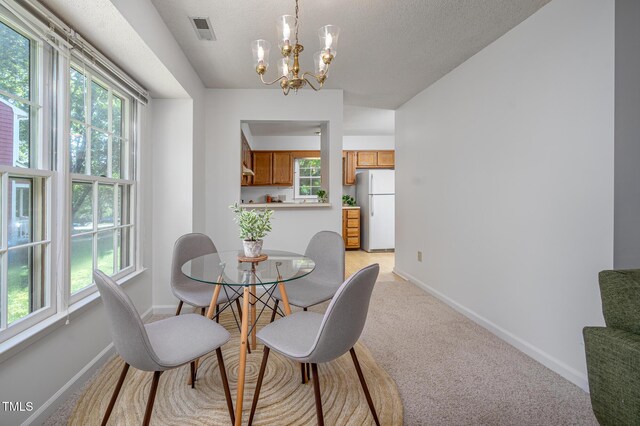 121 Long Shadow Pl, Durham, NC 27713 - photo 6
