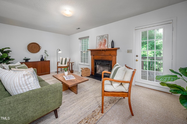 121 Long Shadow Pl, Durham, NC 27713 - photo 4