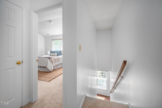 121 Long Shadow Pl, Durham, NC 27713 - photo 20