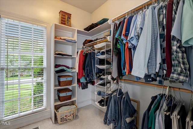 spacious closet featuring carpet