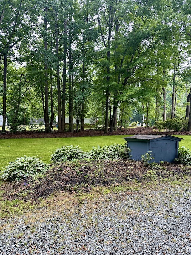view of grassy yard
