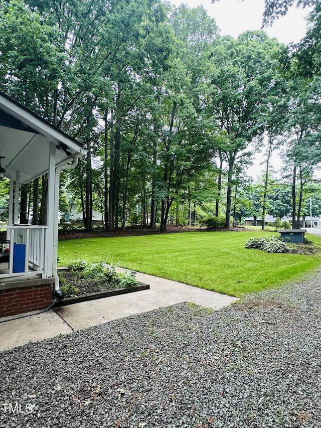 view of green lawn with view of wooded area
