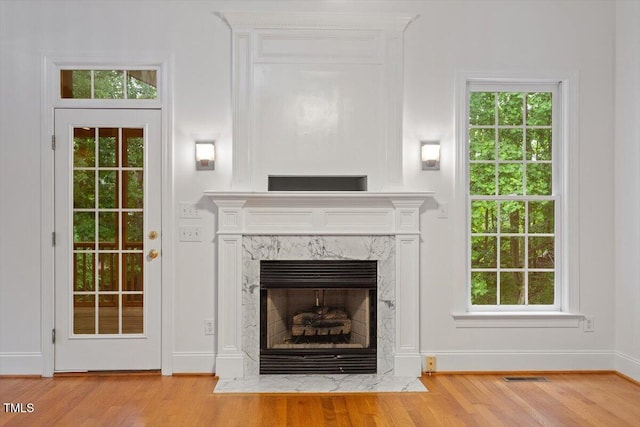 6335 Cedar Waters Dr, Raleigh, NC 27607 - detailed view of wood finished floors, a premium fireplace, and baseboards