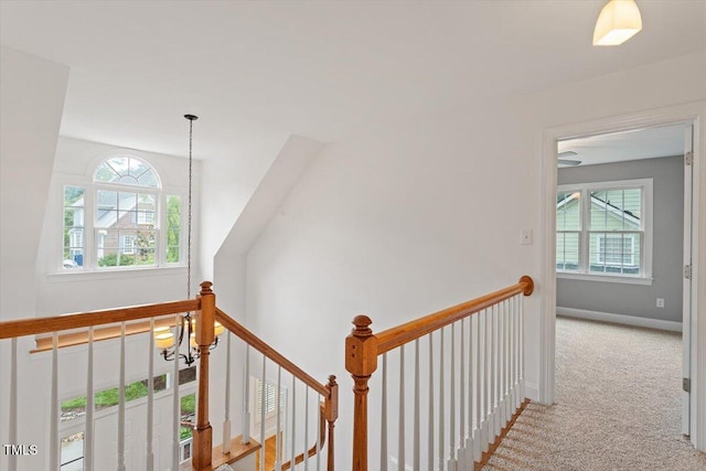 6335 Cedar Waters Dr, Raleigh, NC 27607 - hall with carpet, healthy amount of natural light, an upstairs landing, and baseboards