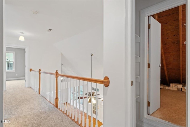 6335 Cedar Waters Dr, Raleigh, NC 27607 - corridor with carpet floors