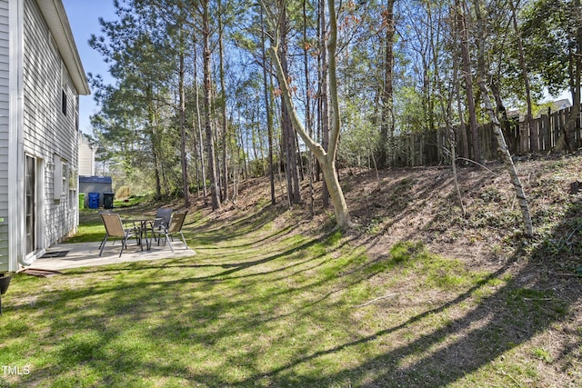 view of yard featuring a patio
