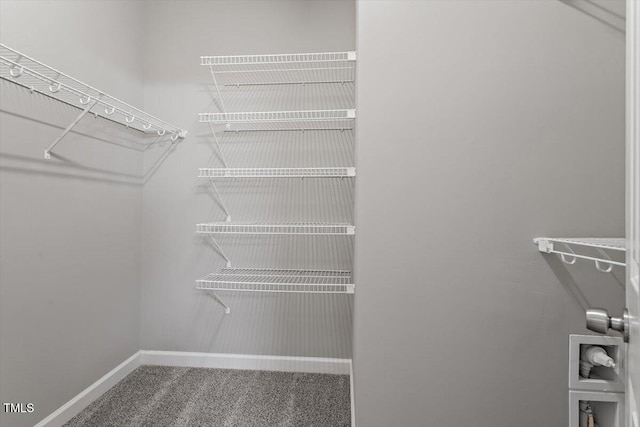 walk in closet featuring carpet