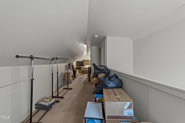 additional living space featuring carpet flooring and vaulted ceiling