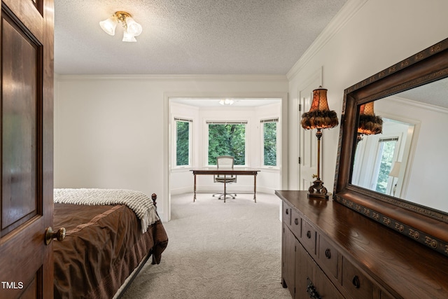 53 Lake Wendell Rd, Wendell, NC 27591 - bedroom with light carpet, ornamental molding, multiple windows, a textured ceiling, and an office area