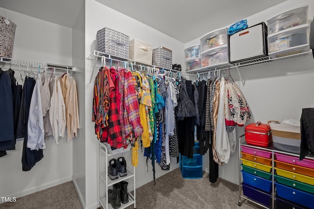 spacious closet featuring carpet