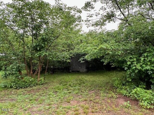 246 Keene St, Henderson, NC 27536 - view of yard