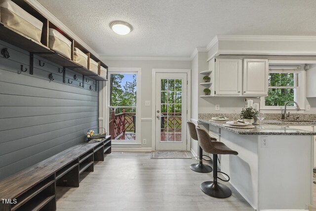 mudroom featuring a sink, a textured ceiling, plenty of natural light, crown molding, and light wood-style flooring