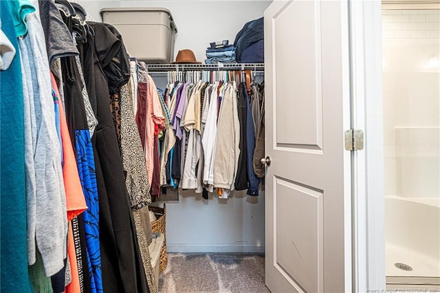 view of spacious closet