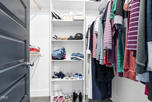 walk in closet with carpet flooring