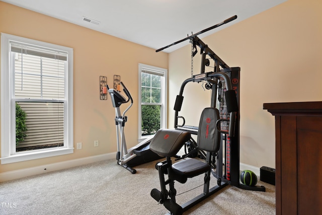 13 Nettletree Creek Ct, Youngsville, NC 27596 - workout room with carpet and baseboards