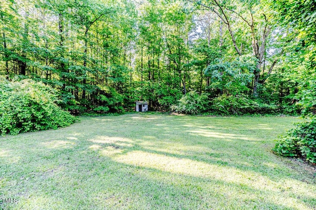 2619 Steel Bridge Rd, Sanford, NC 27330 - photo 8
