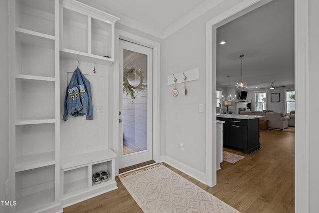 mudroom featuring a ceiling fan, wood finished floors, baseboards, and ornamental molding