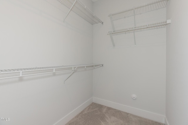 1739 Old Fields Blvd, Haw River, NC 27258 - spacious closet featuring carpet