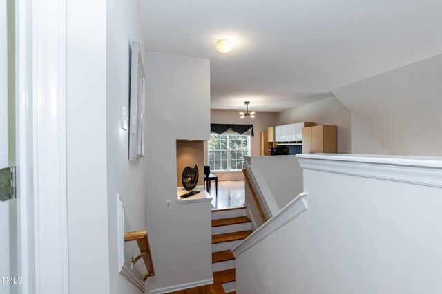 5501 Southern Cross Ave, Raleigh, NC 27606 - stairs featuring wood finished floors