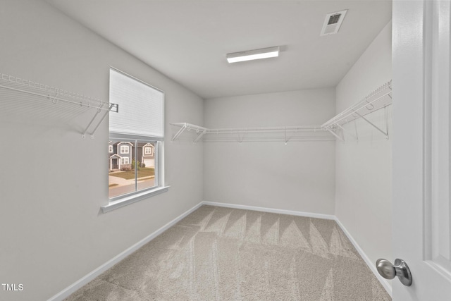 walk in closet featuring carpet flooring