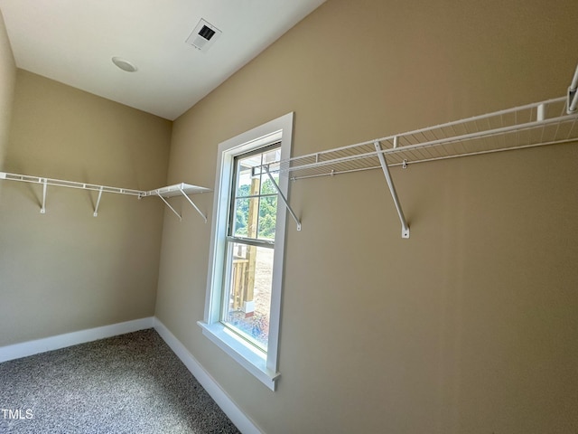 1458 Union Grove Church Rd, Fremont, NC 27830 - walk in closet with carpet flooring