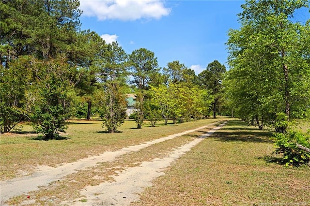 3229 Mcqueen Rd, Red Springs, NC 28377 - surrounding community featuring dirt driveway and a lawn