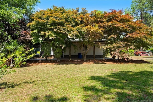 3229 Mcqueen Rd, Red Springs, NC 28377 - view of green lawn