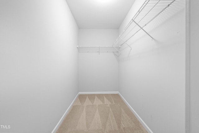 walk in closet with light colored carpet