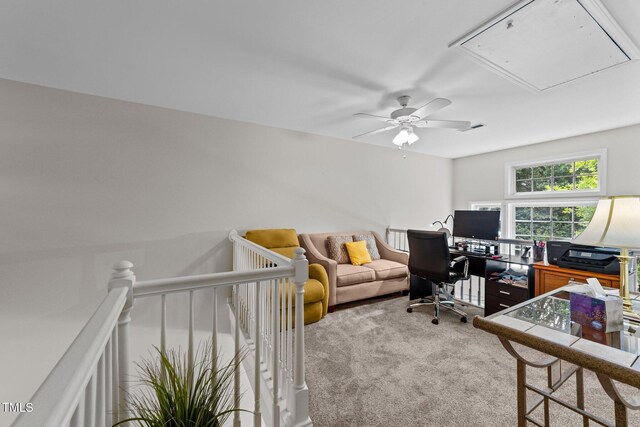 11013 Louson Pl, Raleigh, NC 27614 - carpeted bedroom with attic access, a desk, and ceiling fan