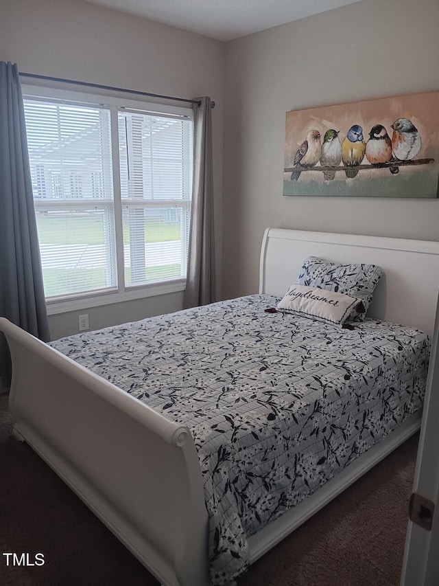 31 Kevior Ave, Four Oaks, NC 27524 - bedroom with carpet floors