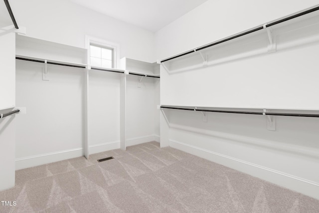 walk in closet featuring carpet floors