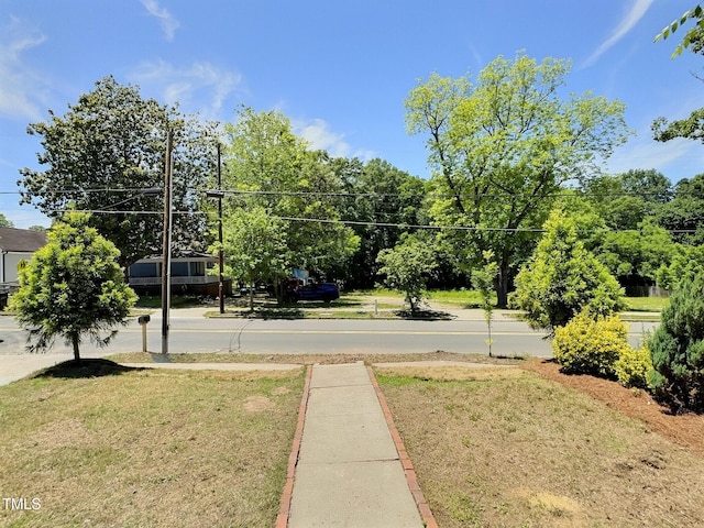 114 N Guthrie Ave, Durham, NC 27703 - view of green lawn