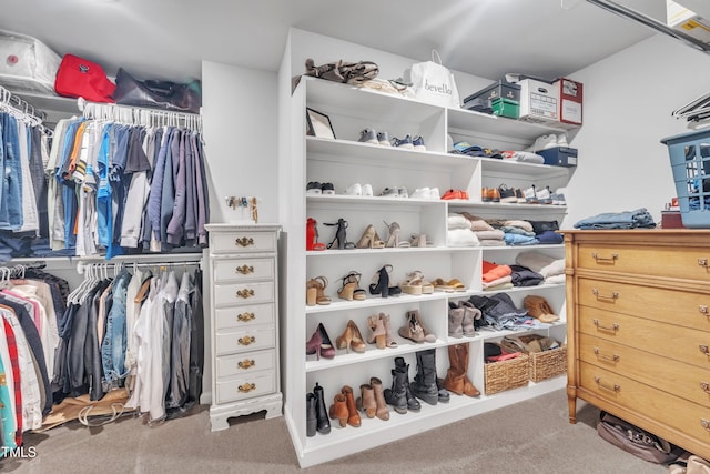spacious closet featuring carpet floors